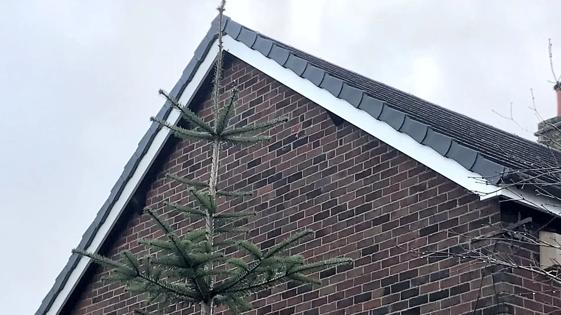 Fascias, Soffits, Gutters